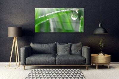 Glass Wall Art Grass dew drops floral green