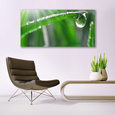 Glass Wall Art Grass dew drops floral green