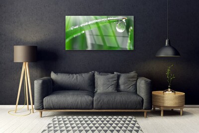 Glass Wall Art Grass dew drops floral green