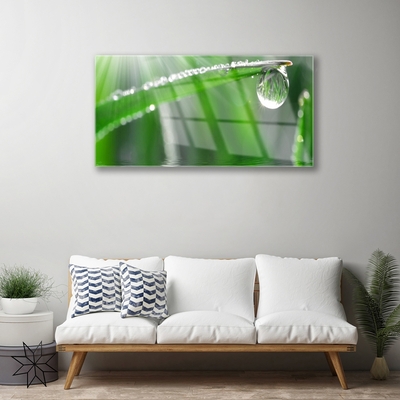 Glass Wall Art Grass dew drops floral green