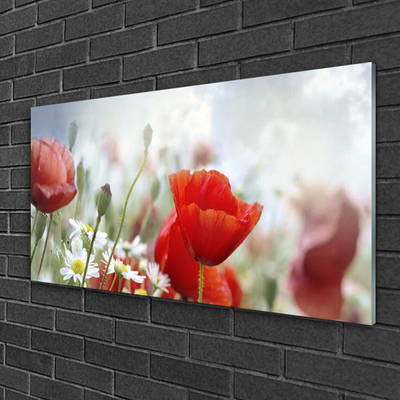 Glass Wall Art Flowers floral red yellow white