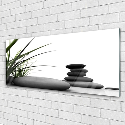 Glass Wall Art Grass stones art green grey