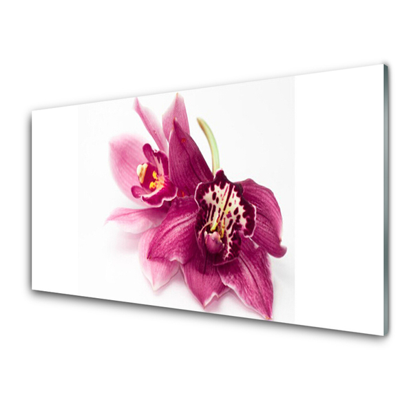 Glass Wall Art Flowers floral red