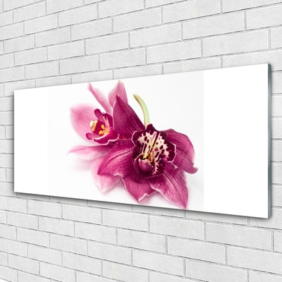 Glass Wall Art Flowers floral red