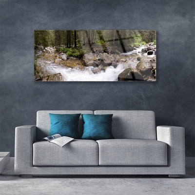 Glass Wall Art Forest brook stones nature brown green white grey