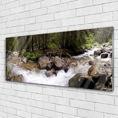 Glass Wall Art Forest brook stones nature brown green white grey