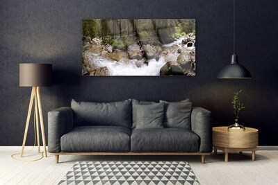 Glass Wall Art Forest brook stones nature brown green white grey