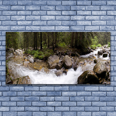 Glass Wall Art Forest brook stones nature brown green white grey