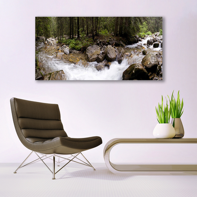 Glass Wall Art Forest brook stones nature brown green white grey