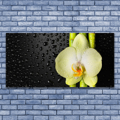 Glass Wall Art Bamboo tube flower floral green yellow