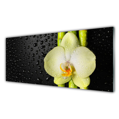 Glass Wall Art Bamboo tube flower floral green yellow