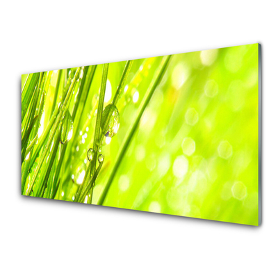 Glass Wall Art Weed nature green