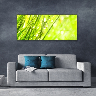 Glass Wall Art Weed nature green