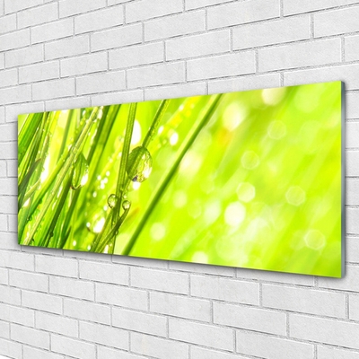 Glass Wall Art Weed nature green