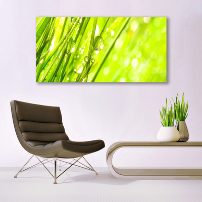 Glass Wall Art Weed nature green