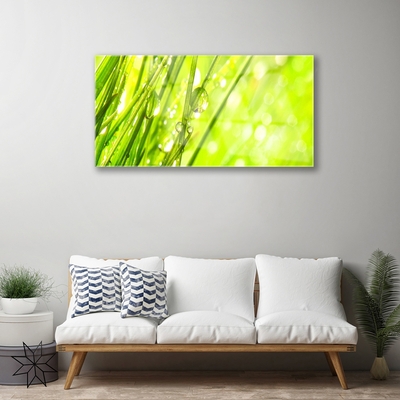 Glass Wall Art Weed nature green