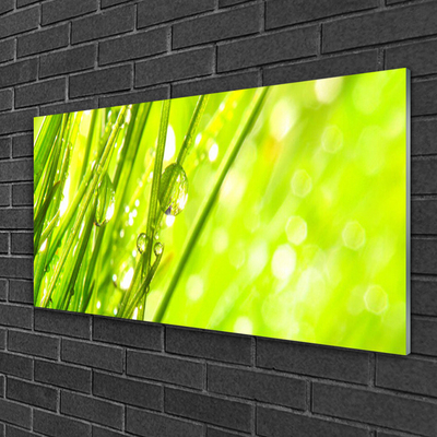 Glass Wall Art Weed nature green