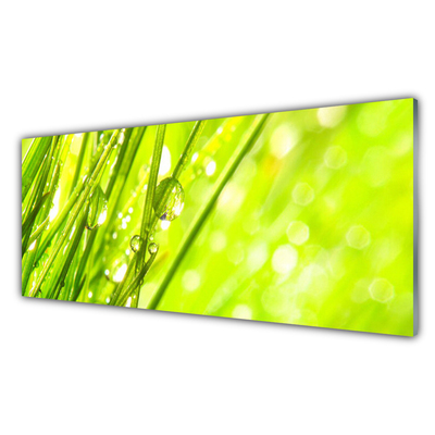 Glass Wall Art Weed nature green