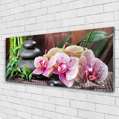 Glass Wall Art Bamboo stones flowers floral green grey pink
