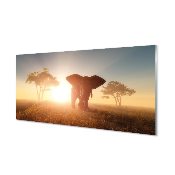 Kitchen Splashback is the wave elephant