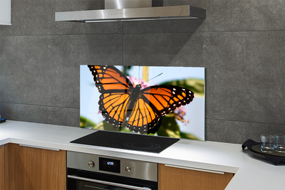 Kitchen Splashback butterfly color