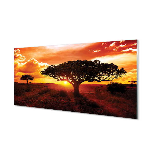 Kitchen Splashback Clouds trees west