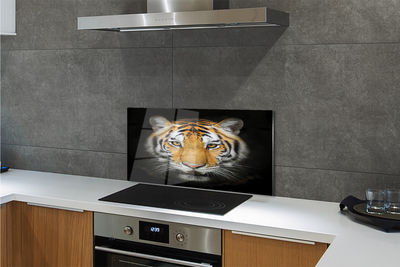 Kitchen Splashback tiger