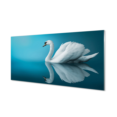 Kitchen Splashback Swan in the water