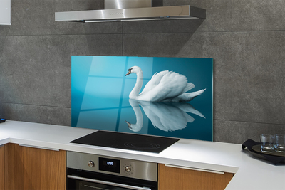 Kitchen Splashback Swan in the water