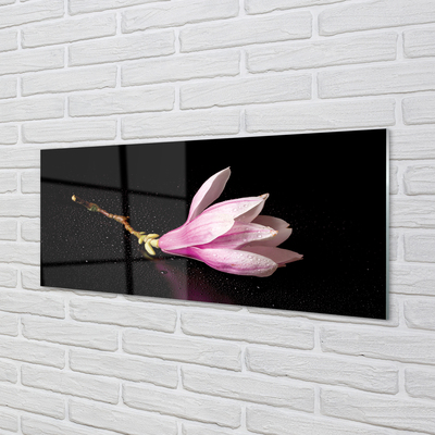 Kitchen Splashback flower water