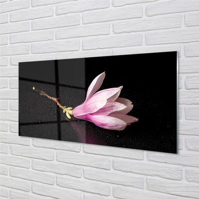 Kitchen Splashback flower water