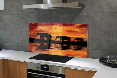 Kitchen Splashback Westlake elephants