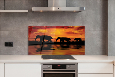 Kitchen Splashback Westlake elephants