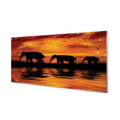 Kitchen Splashback Westlake elephants