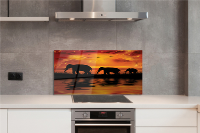 Kitchen Splashback Westlake elephants