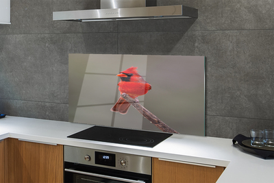 Kitchen Splashback red parrot on a branch