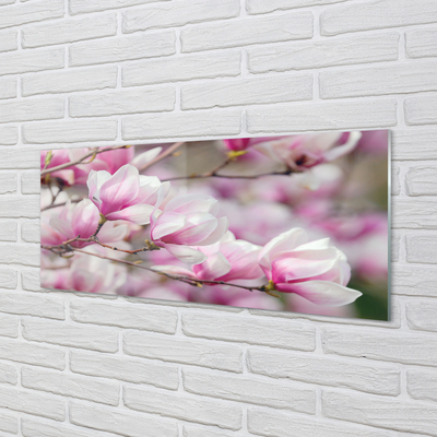 Kitchen Splashback flowering trees