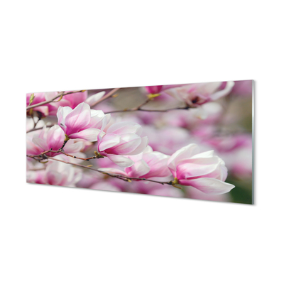 Kitchen Splashback flowering trees