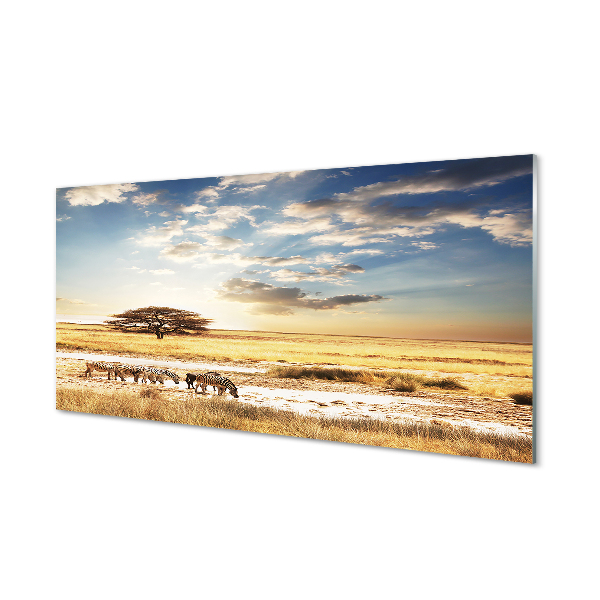Kitchen Splashback Zebra clouds wave