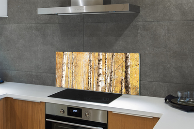 Kitchen Splashback Fall Trees