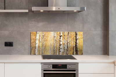 Kitchen Splashback Fall Trees