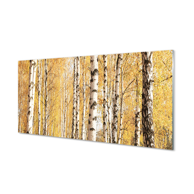 Kitchen Splashback Fall Trees