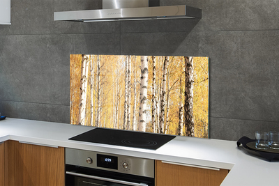 Kitchen Splashback Fall Trees