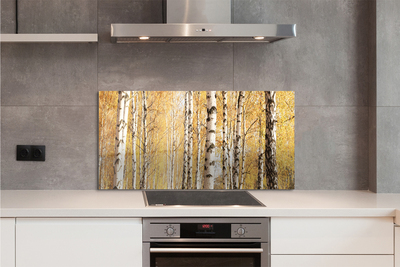 Kitchen Splashback Fall Trees