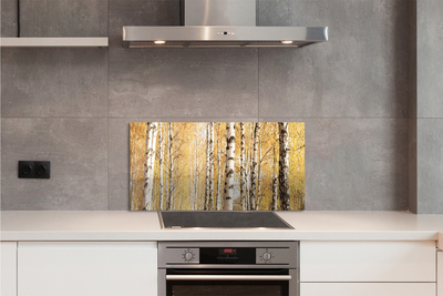 Kitchen Splashback Fall Trees