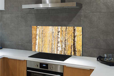 Kitchen Splashback Fall Trees