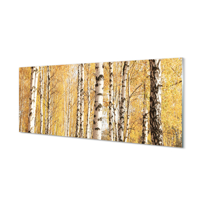 Kitchen Splashback Fall Trees