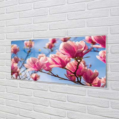 Kitchen Splashback flowering trees