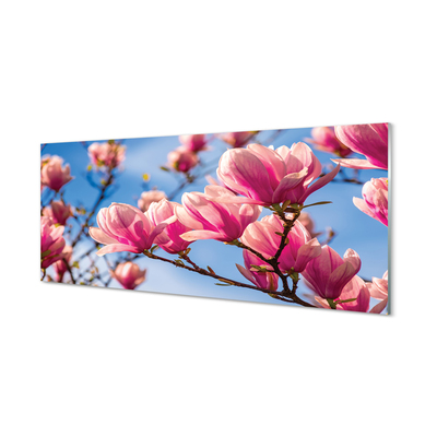 Kitchen Splashback flowering trees