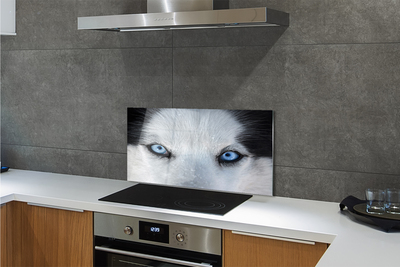 Kitchen Splashback Wolf eyes